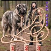 Macho