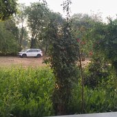Meena29