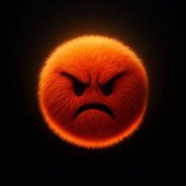 Roll344