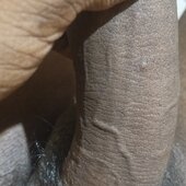 samhui