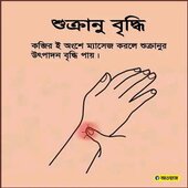 BadshaBadsha