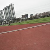 飒飒