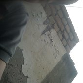 Kunal