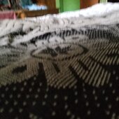 Tanvivvu77