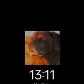 Tony24242