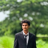 Raisul