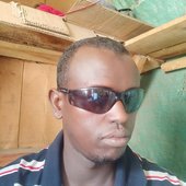 Yare yare3838@gmail.