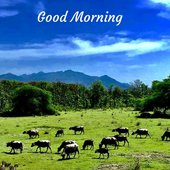 manoj rana