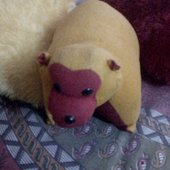 Mishraannu