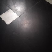 Tjn
