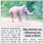 Sunil dh majhi