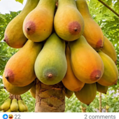 X9xbbffhknffgukj