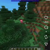 Playgx5