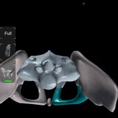 Pp99