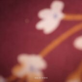 Mayullu