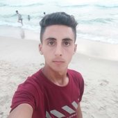 fars9561421