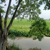 Vikas kumsr