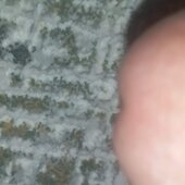 Sexatre31