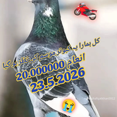 Nadeemss