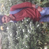 Sabik