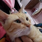wendy432@