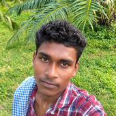 Gudise balu