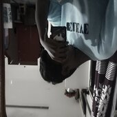 @gmal.