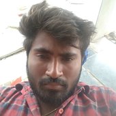 Harihari