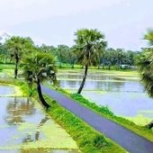 bd.sarkar