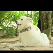 Lucky singh