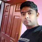 Krishna kova