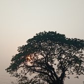 Karinlaqwe