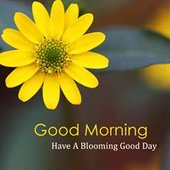 anup pradhan