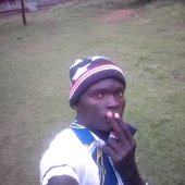 Midega