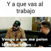 Cobos77