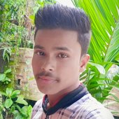 Debu das