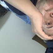 Aisaqk