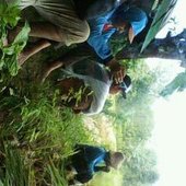 Yayak