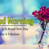 Harkesh
