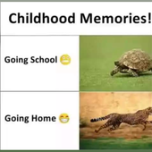 Raju144