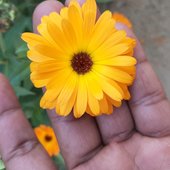 Sameer khanna