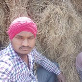 Mangat