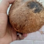 rrras