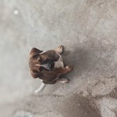 Yakamuka