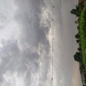 Vanraj bhai