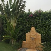 masa1234
