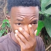 Musisi ponsiano