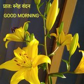 dipesh27
