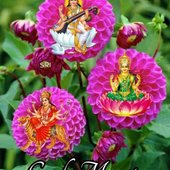 vissukarri