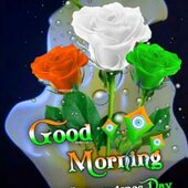Arman lhan